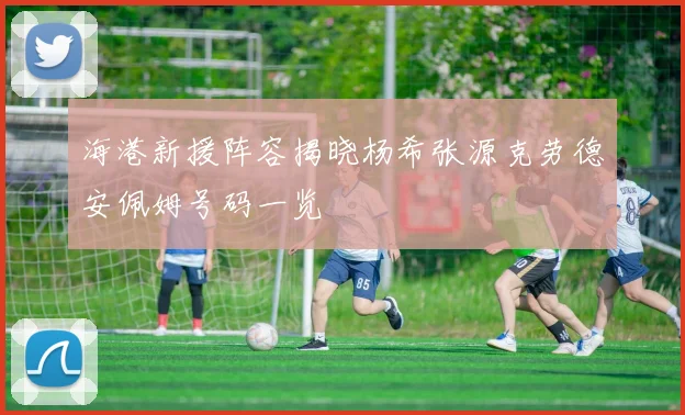 海港新援阵容揭晓杨希张源克劳德安佩姆号码一览