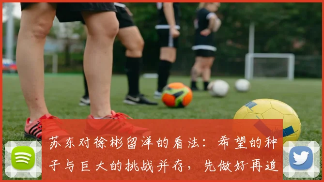 苏东对徐彬留洋的看法：希望的种子与巨大的挑战并存，先做好再追求完美