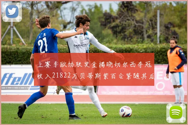 上赛季欧协联奖金揭晓切尔西夺冠收入21822万贝蒂斯紫百合紧随其后